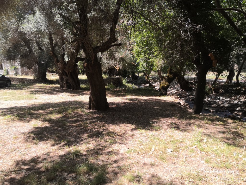 (730 09) Anatolikos Selinos - Eparchiaki Odos Chanion - Sougias — foto