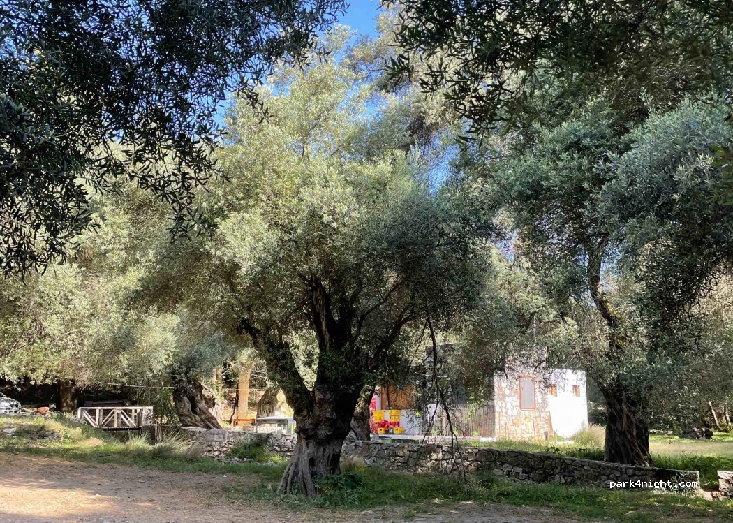 (730 09) Anatolikos Selinos - Eparchiaki Odos Chanion - Sougias — foto 2