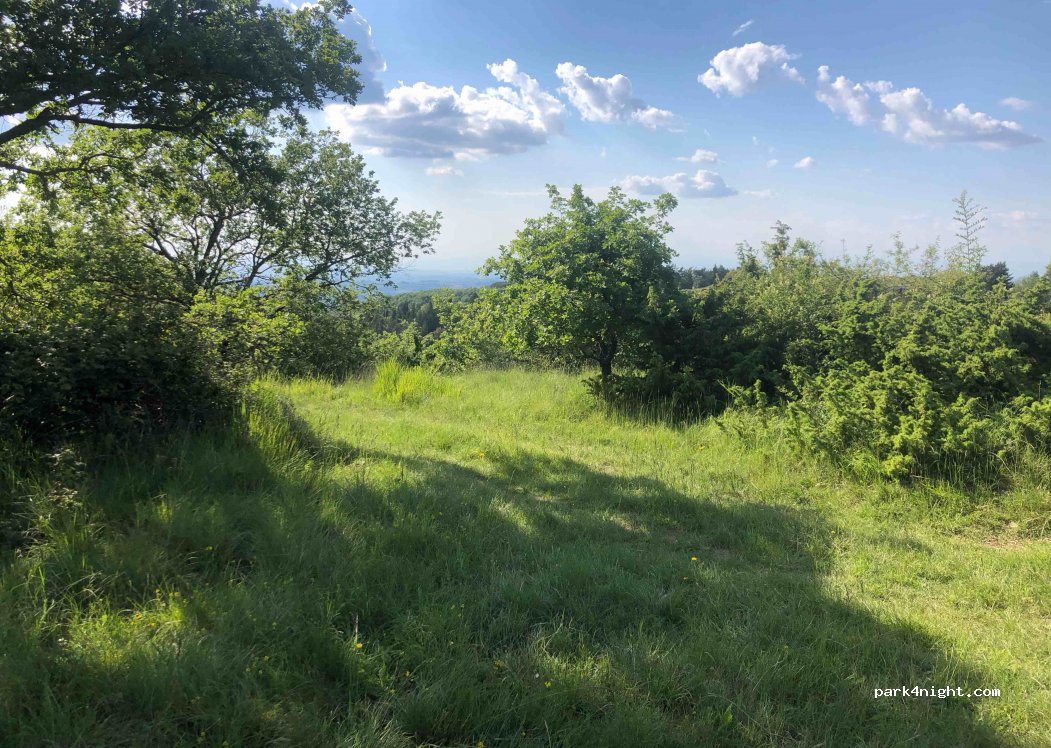 (53011) Castellina in Chianti - Strada Provinciale 76 — foto