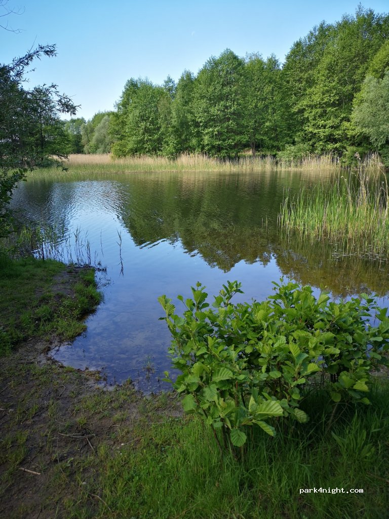 (17375) Vogelsang-Warsin - Unnamed Road — foto 2