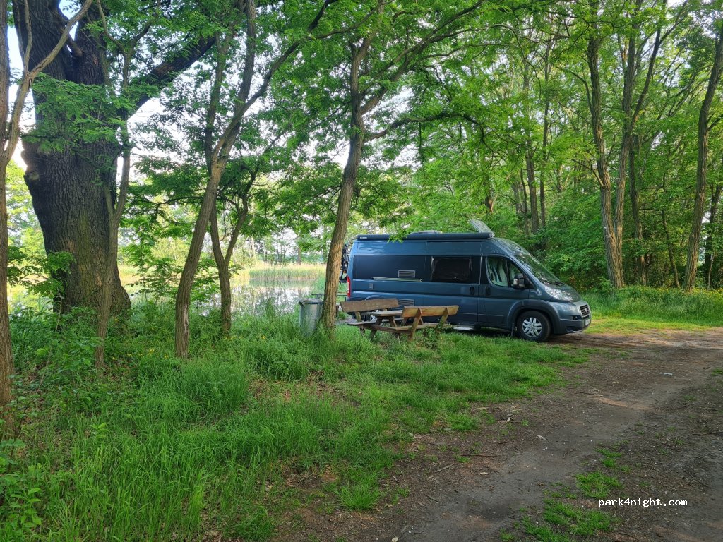(03205) Bronkow - L55 — foto 3