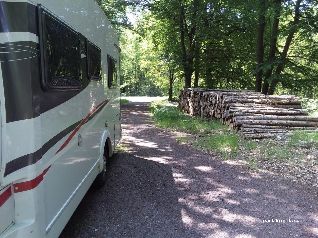 (39264) Nedlitz - B246 — foto