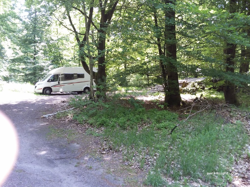 (39264) Nedlitz - B246 — foto 2