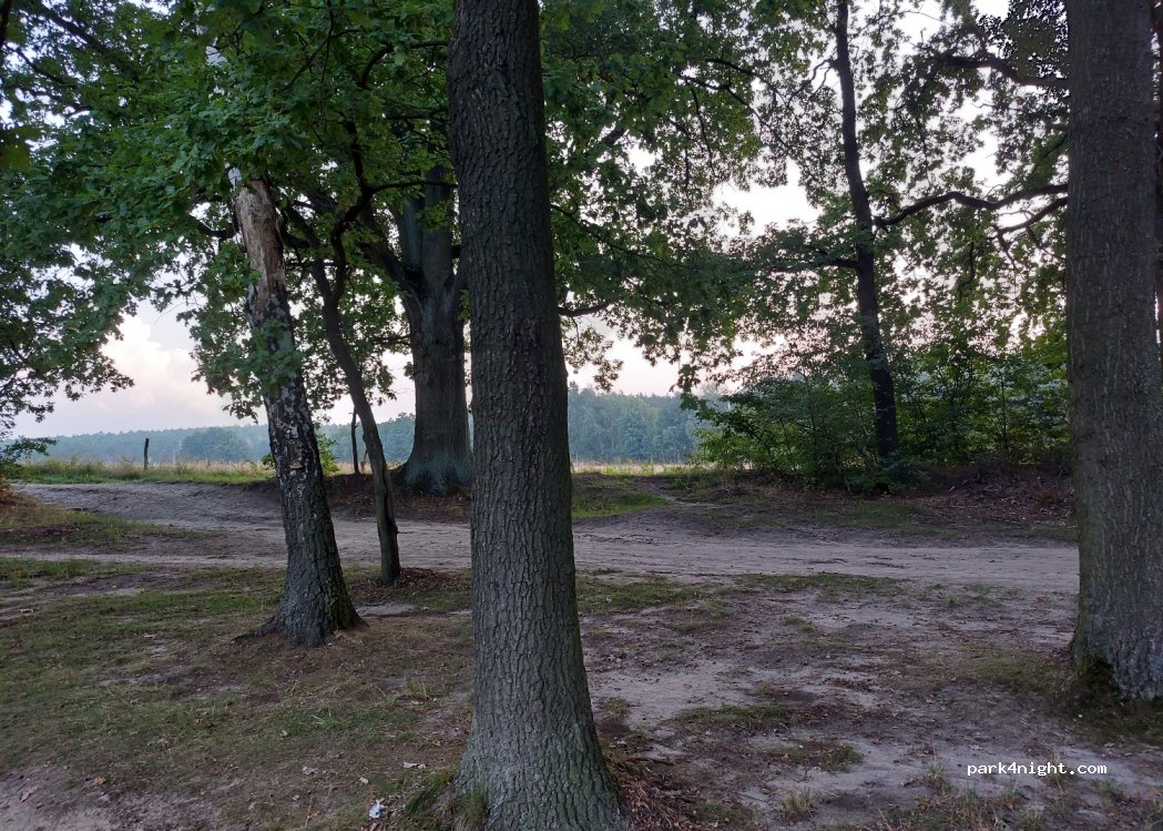 (06895) Zahna-Elster - 10 Am Tonteich — foto 2