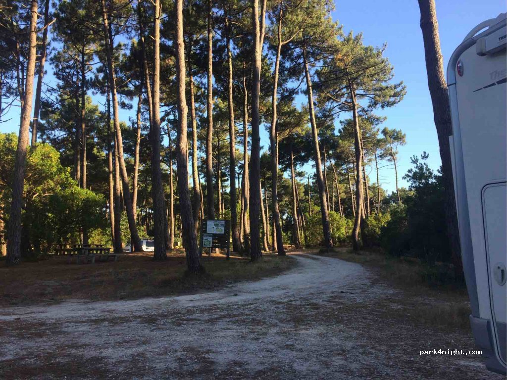 (33950) Lège-Cap-Ferret - Avenue du Truc Vert — foto