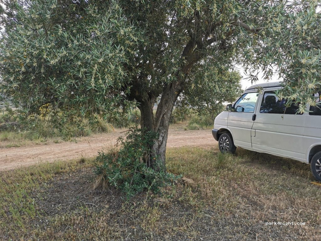 (28817) Los Santos de la Humosa - Calle Capitán Francisco Fuentes — foto