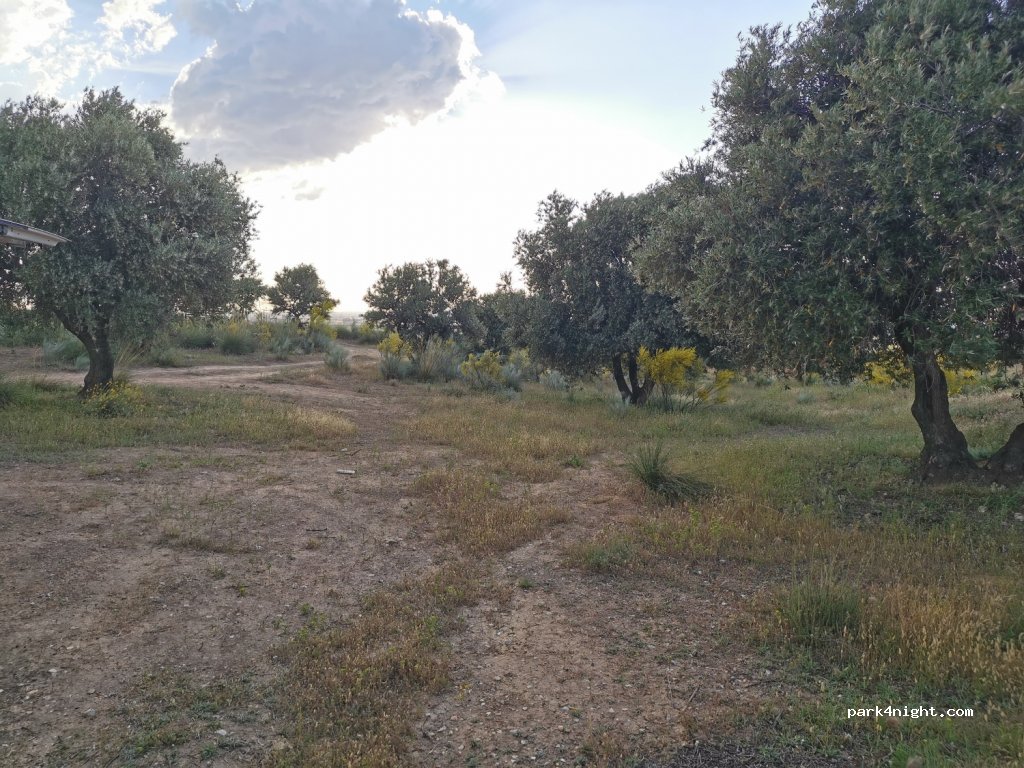 (28817) Los Santos de la Humosa - Calle Capitán Francisco Fuentes — foto 2