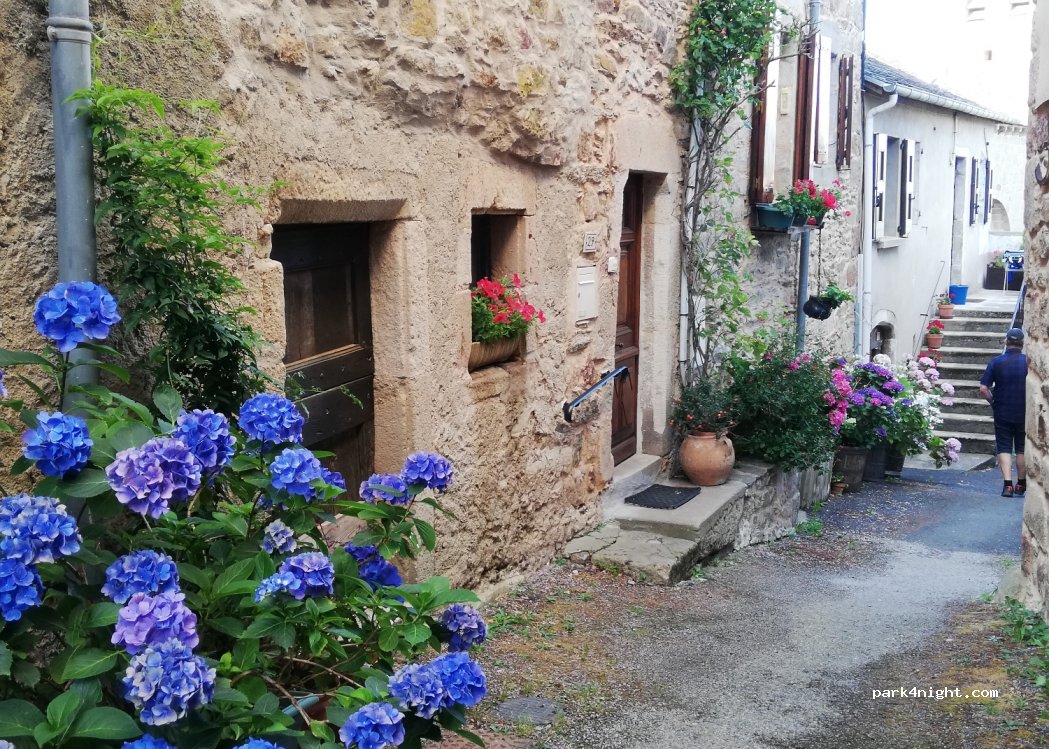 (12620) Castelnau-Pégayrols - D515 — foto 3