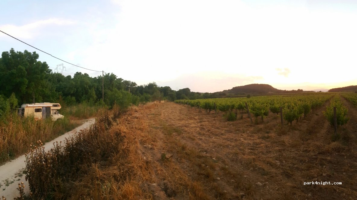 (08729) Castellet - 26 Diseminado Castellet Campo — foto 2
