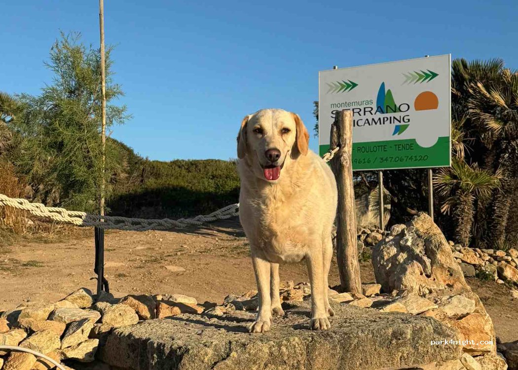Agricamping Serrano — foto 4