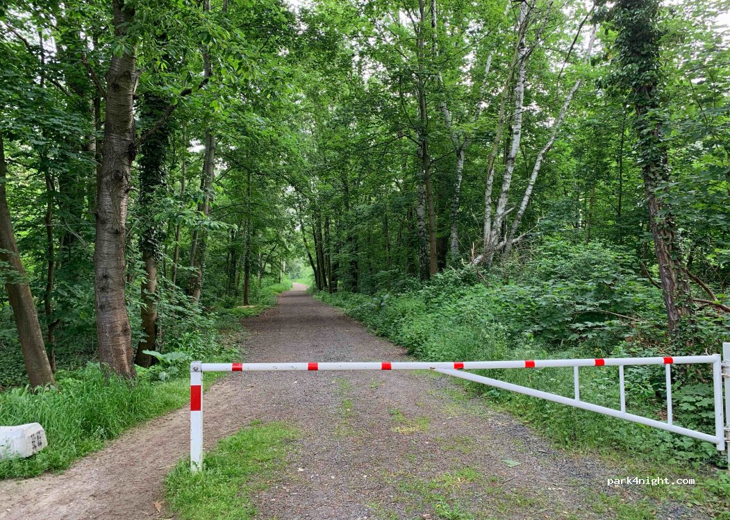 (04683) Naunhof - Birkenweg — foto 4
