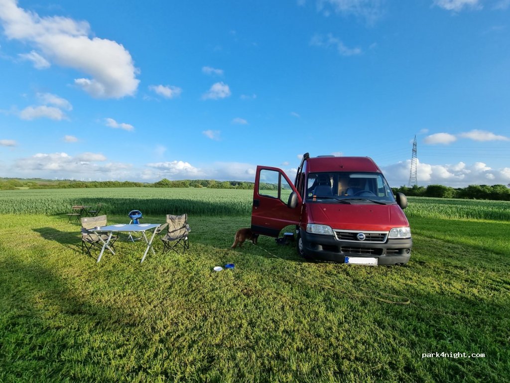 Campingwiese am Feldrand I Hof Wöhlk — foto 5