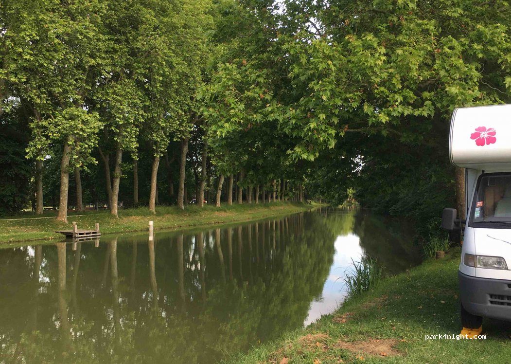 (31450) Montesquieu-Lauragais - D500 — foto 2