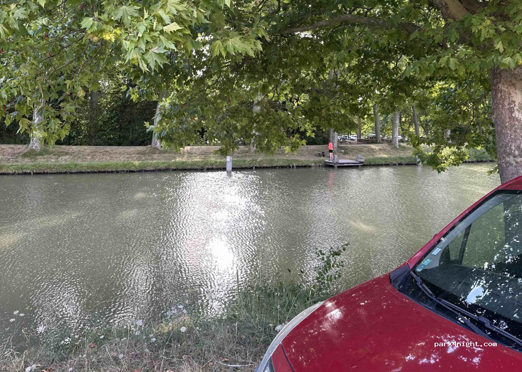(31450) Montesquieu-Lauragais - D500 — foto 5