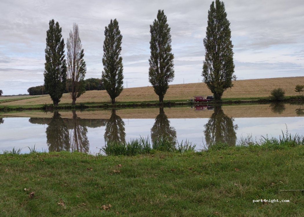 (18300) Jalognes - 2 Le Gravereau — foto 4