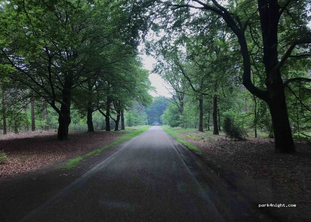 (5815) Merselo - Zwartwater — foto