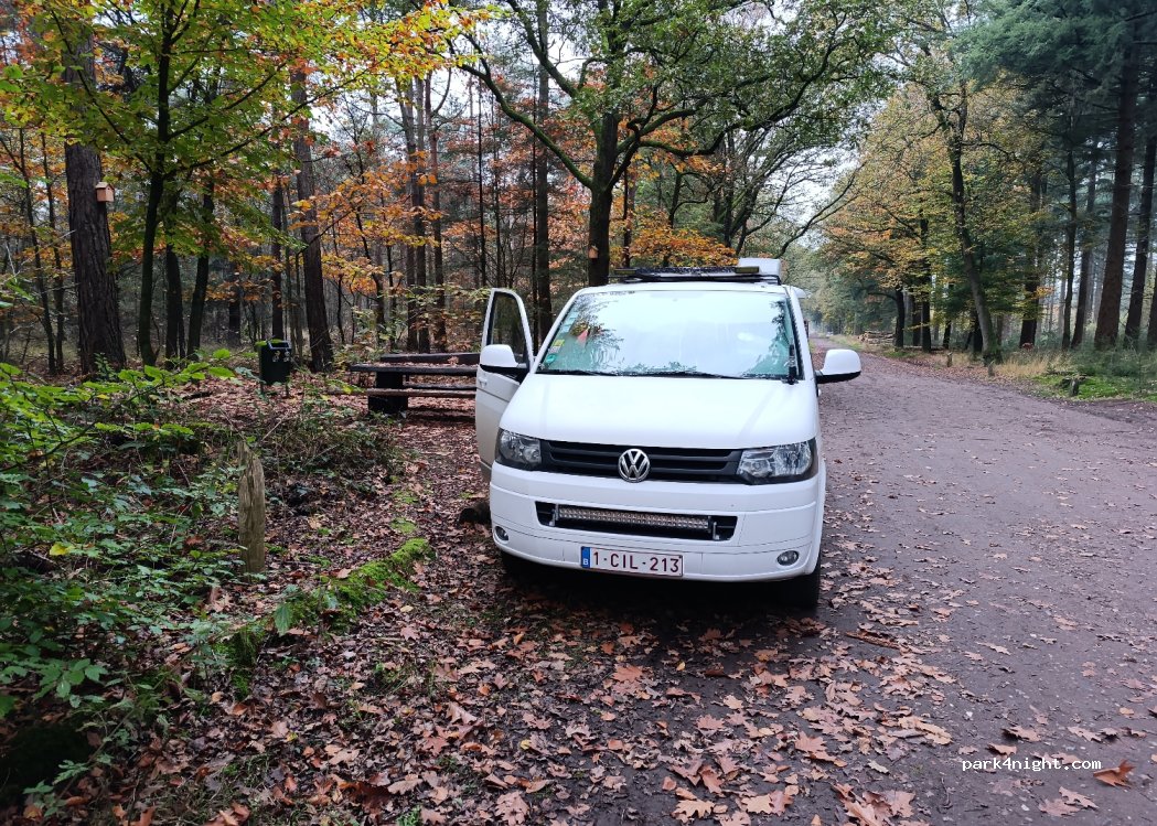 (5815) Merselo - Zwartwater — foto 2