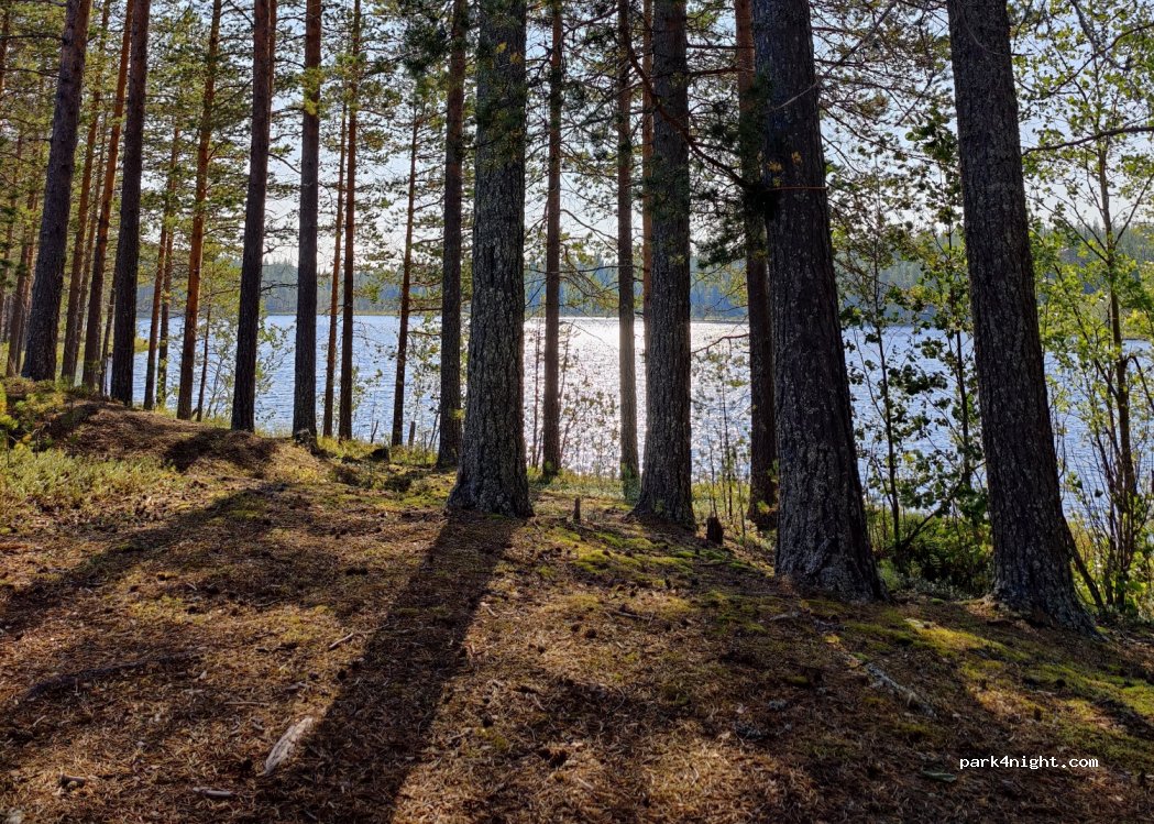 (97675) Rovaniemi - 1244 Jokelantie — foto 2