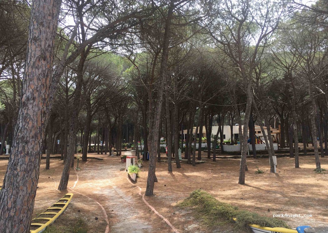 Camping La Mandragola — foto