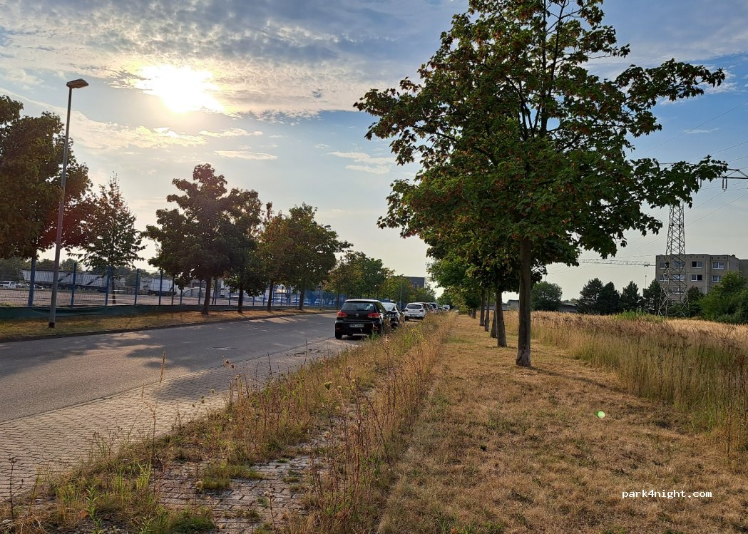 (18147) Rostock - 3 Sanddornweg — foto 3
