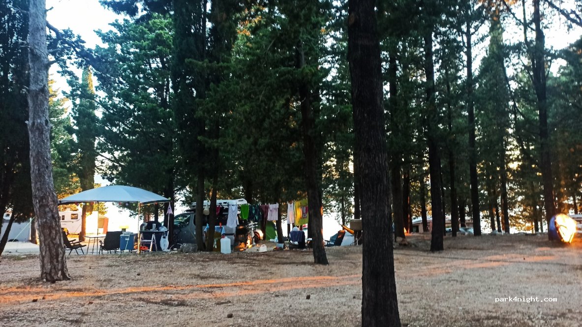 Pansion-Camp PLANTAŽA — foto 2