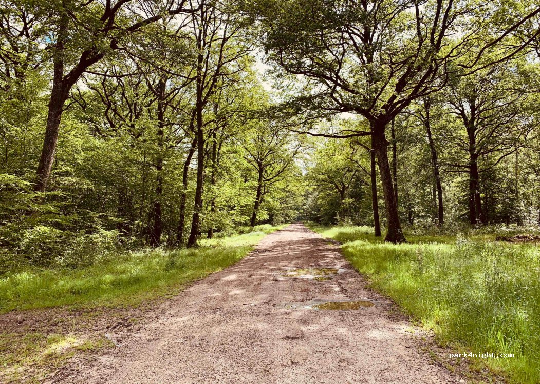 (51700) Festigny - Entre Deux Granges — foto