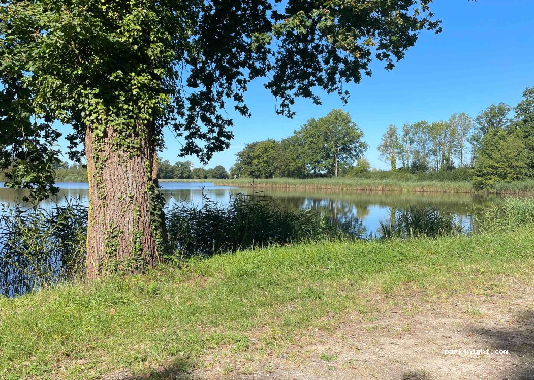 (51700) Festigny - Entre Deux Granges — foto 2