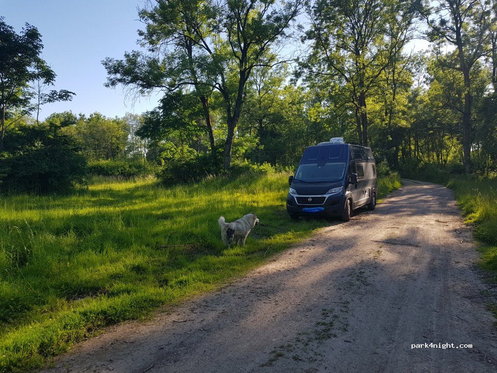 (94060) Pocking - 1 Bärnau — foto 3
