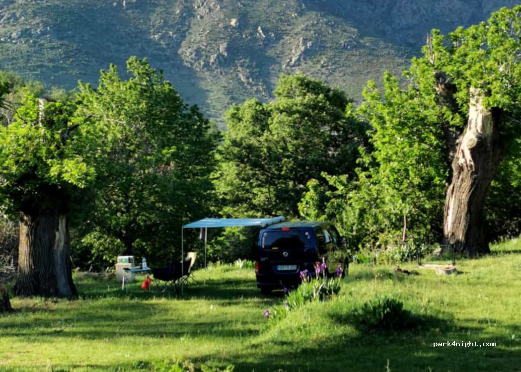 Camping — foto