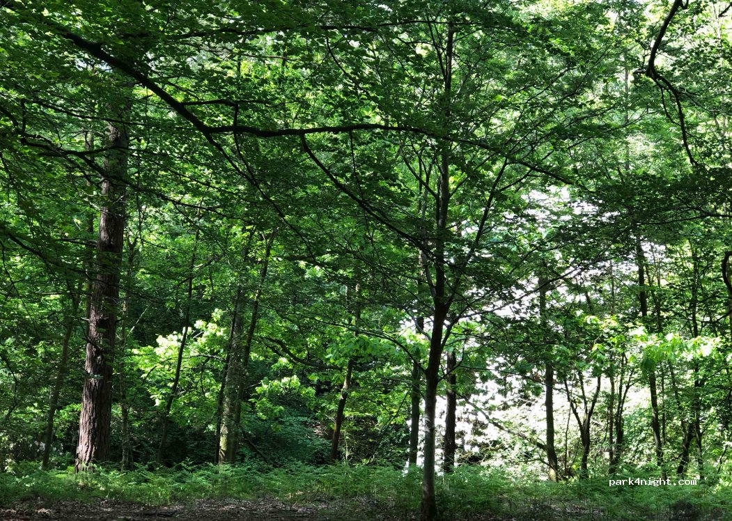 (TN22 5TH)  - Horsted Pond Lane — foto