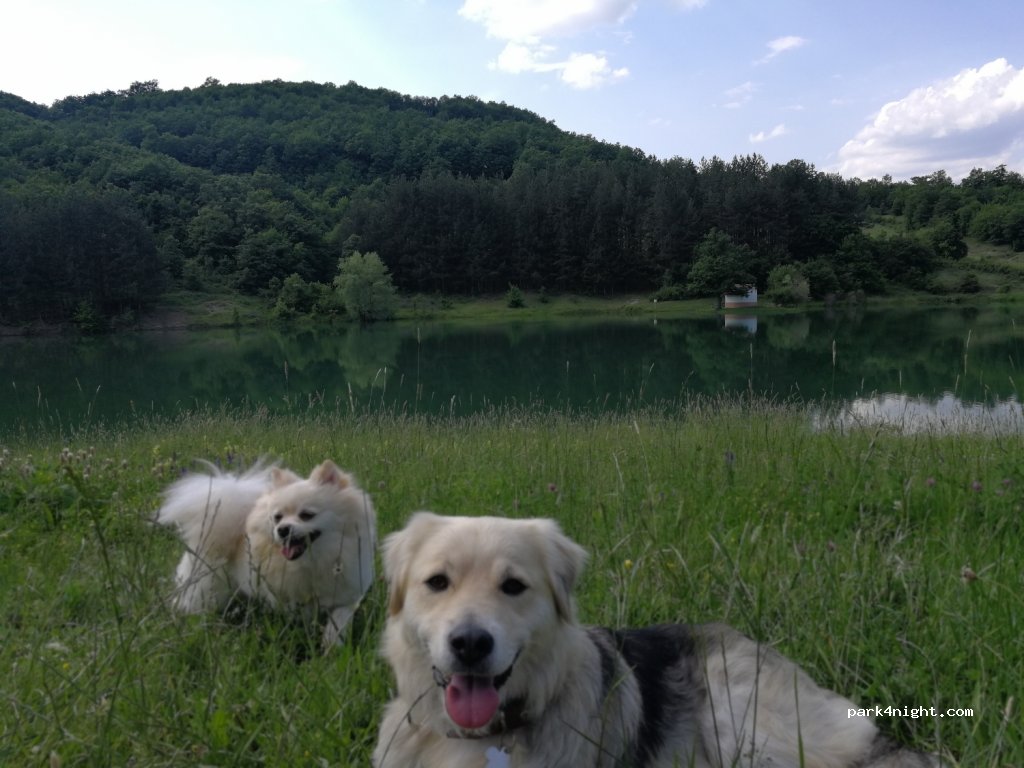 (2073) Smolsko - Unnamed Road — foto