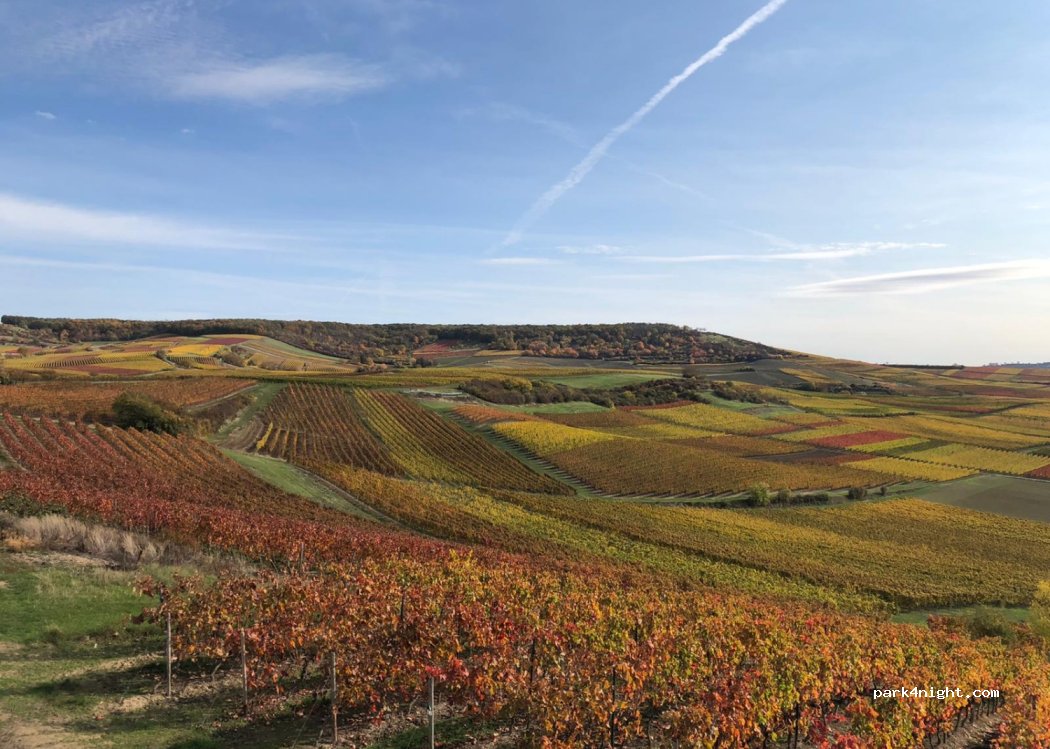 Weingut Oswald — foto