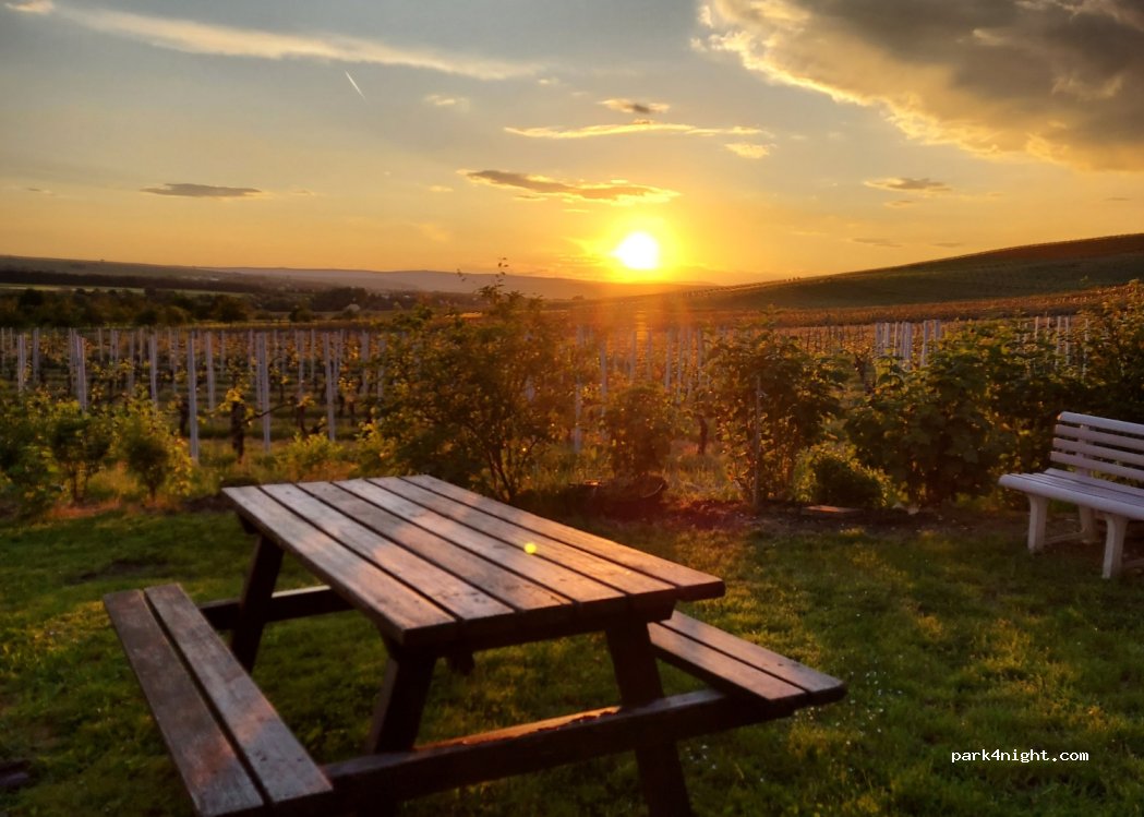 Weingut Oswald — foto 2