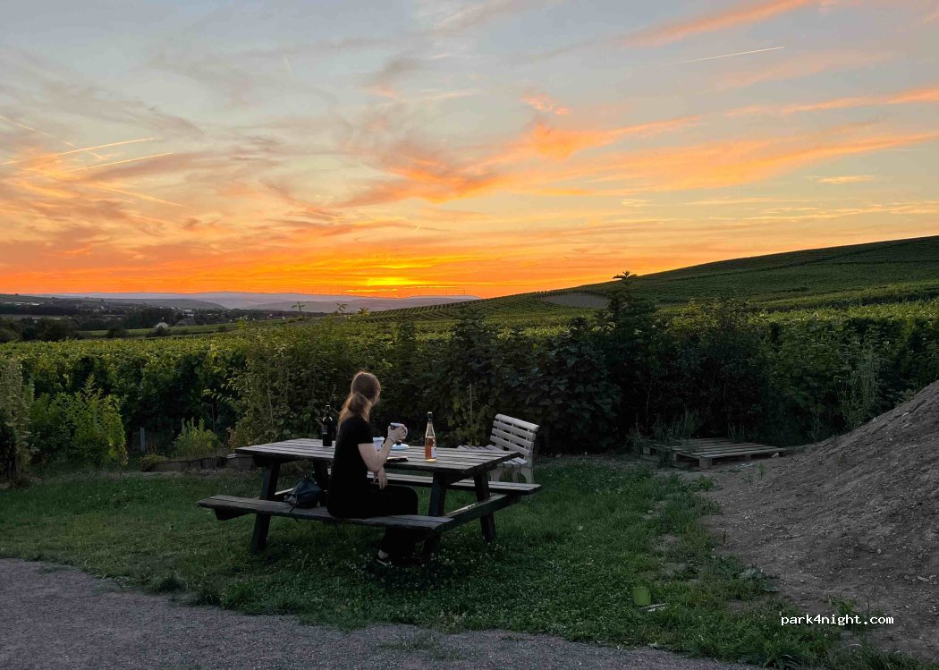 Weingut Oswald — foto 3