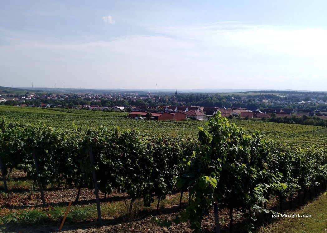 Weingut Oswald — foto 4