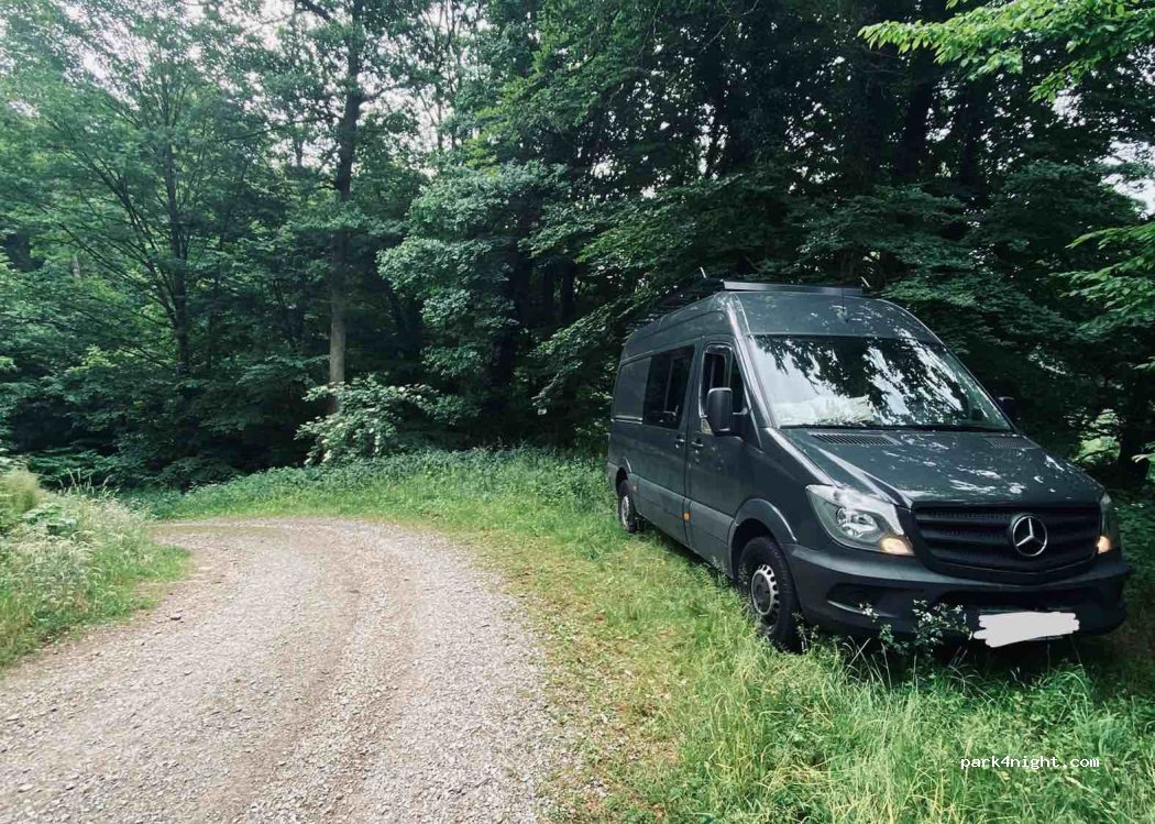 (69253) Heiligkreuzsteinach - L535 — foto 2