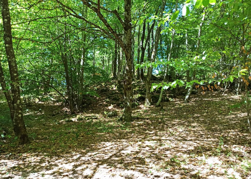 (38220) Saint-Barthélemy-de-Séchilienne - Saint-Barthélémy — foto 4