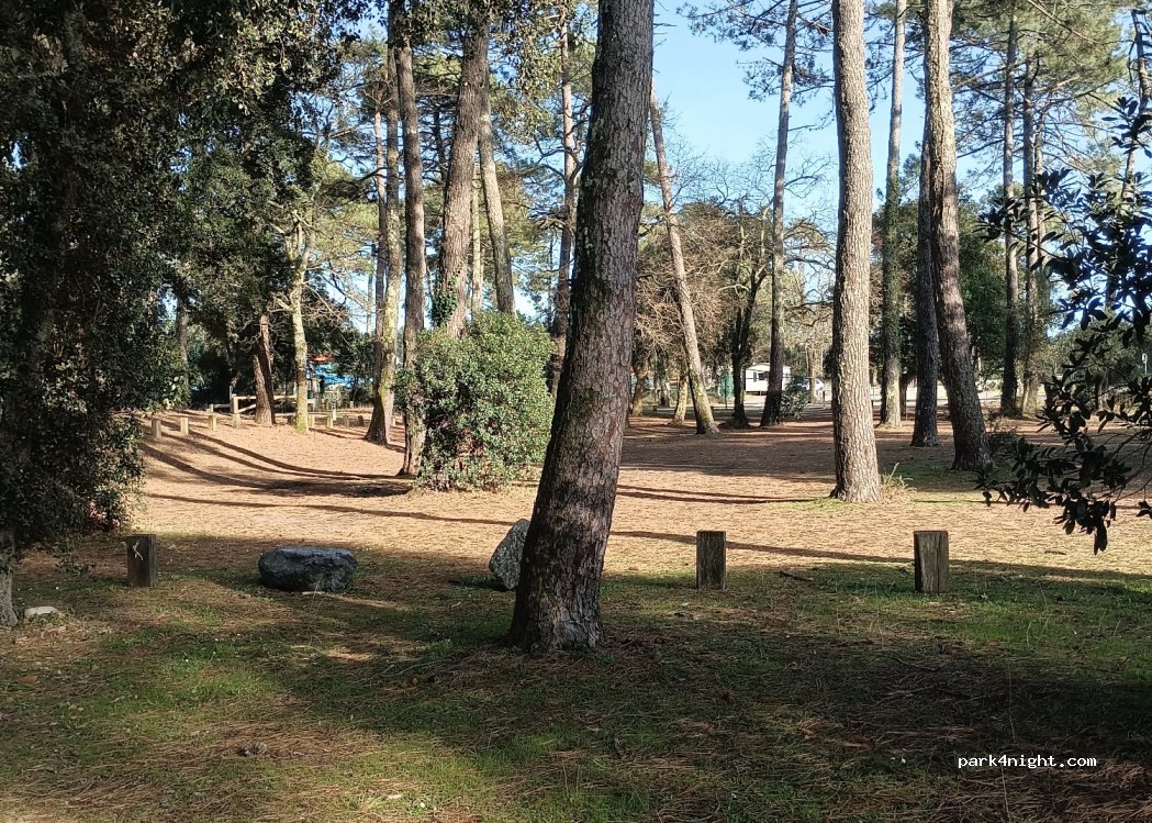 (40530) Labenne - D126 — foto 3