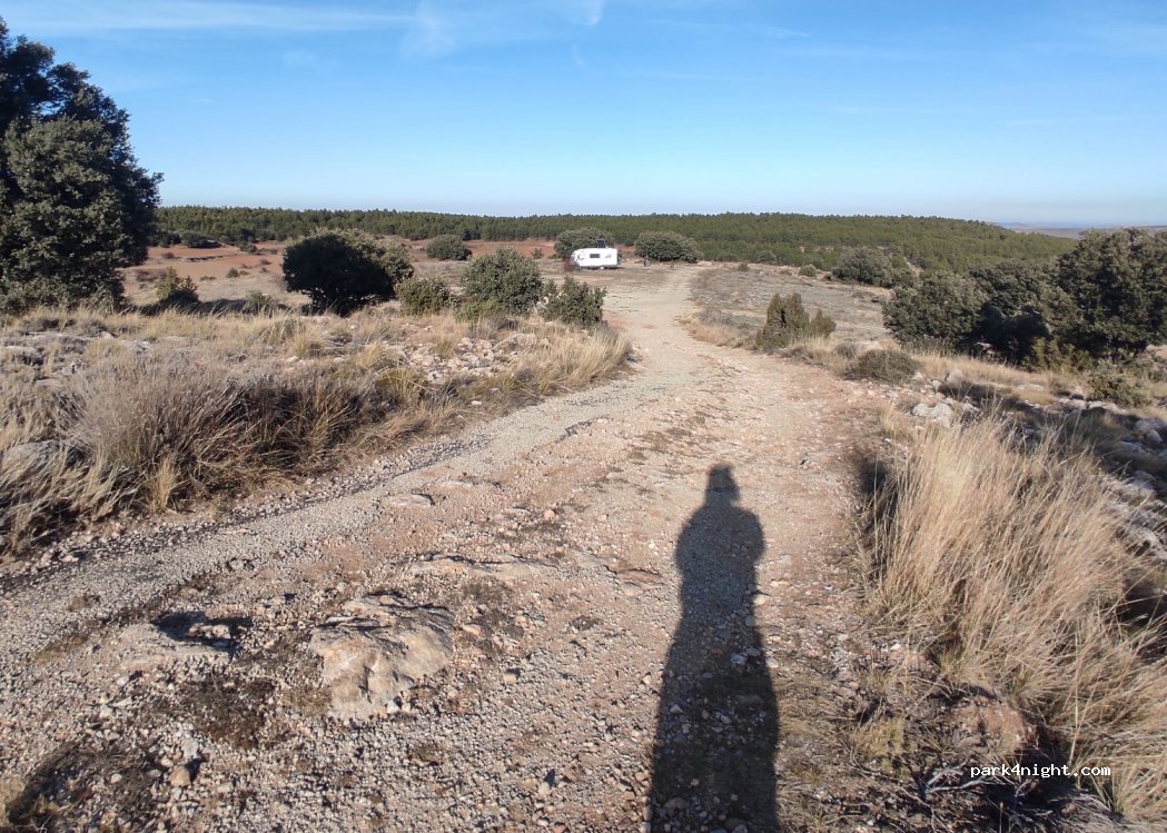 (44707) Cañizar del Olivar - Unnamed Road — foto 4