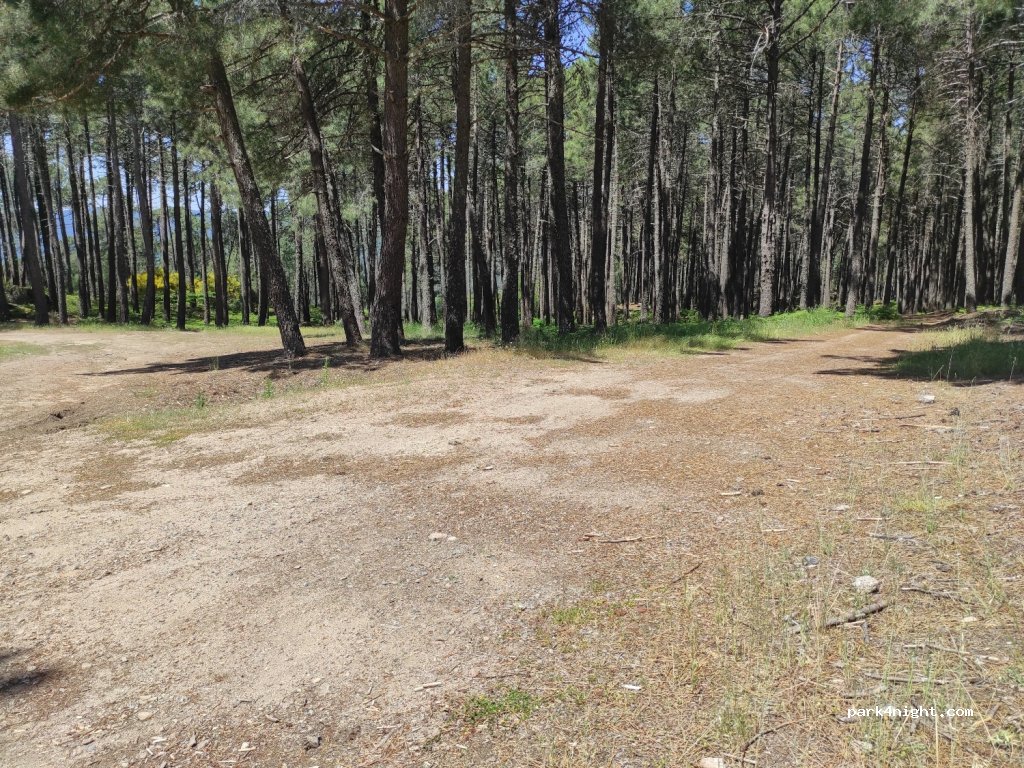 (05416) El Arenal - Unnamed Road — foto