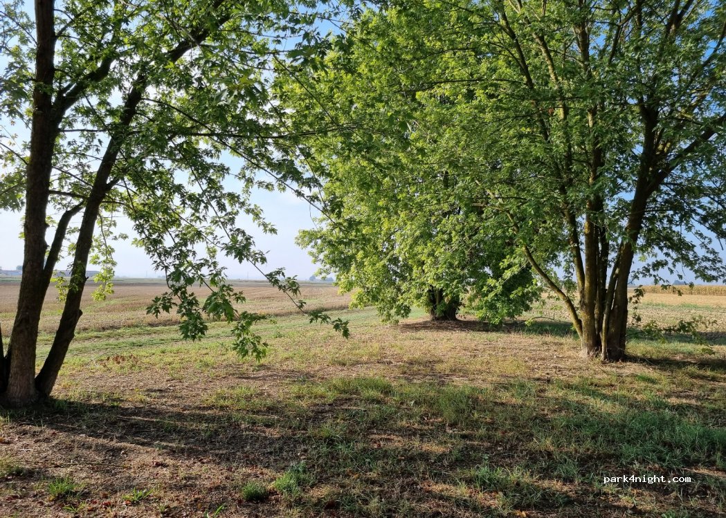 (15050) Gazzolo - 13 Strada Provinciale 86 — foto 2