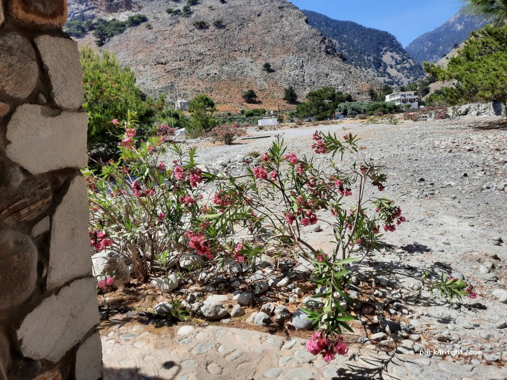 (730 11) Sfakia - — foto 2