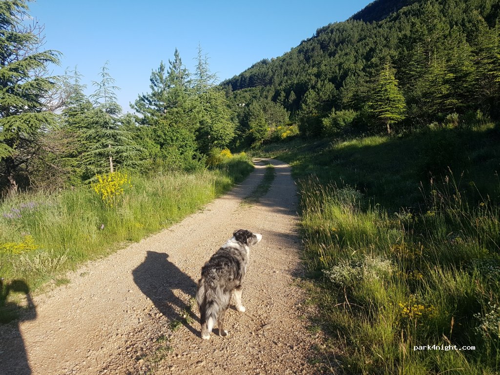 (34700) Lauroux - Unnamed Road — foto 2