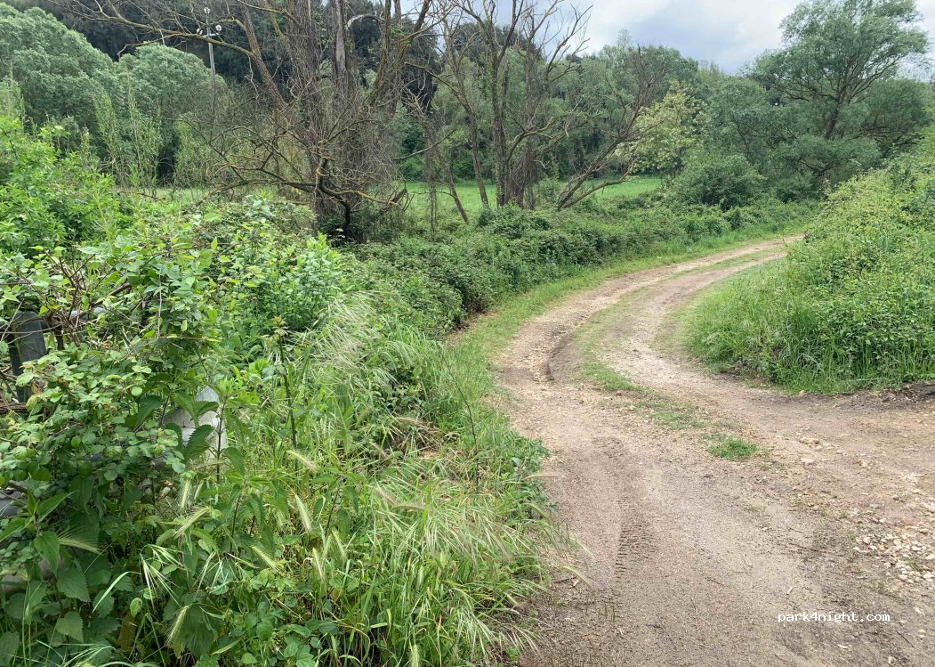 (01011) Canino - Unnamed Road — foto 3