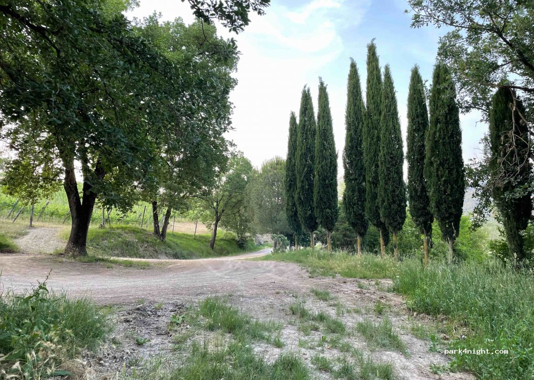 (50022) Greve in Chianti - Località San Cresci — foto