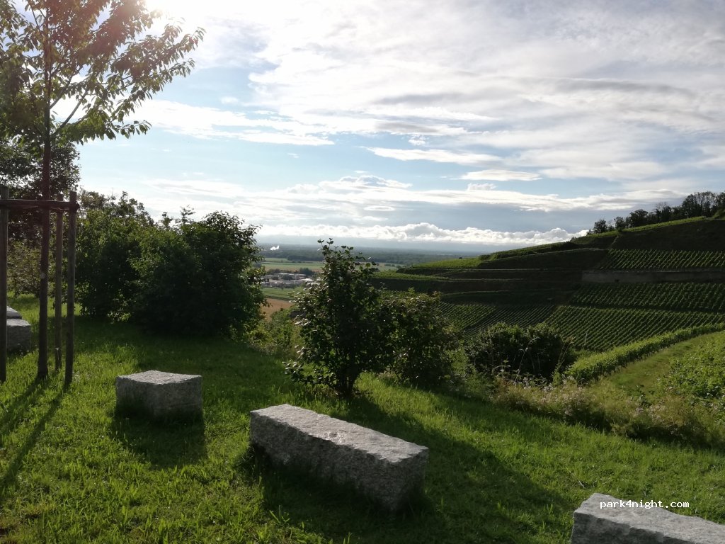 (79241) Ihringen - 7 Blankenhornsberg — foto 2