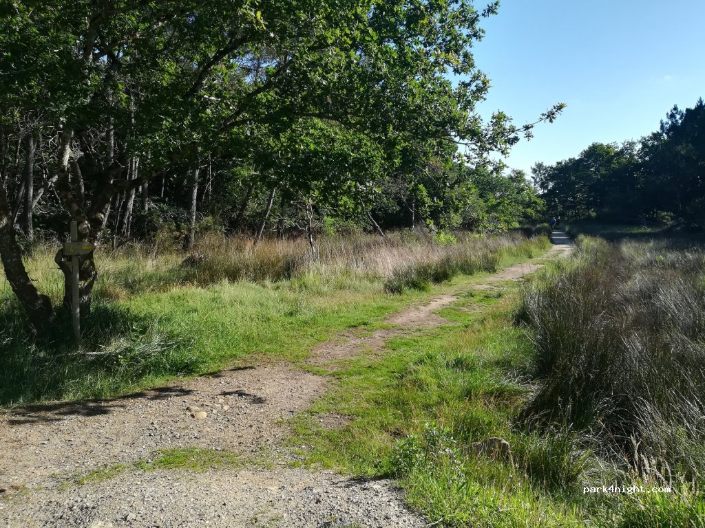 (56680) Plouhinec - Unnamed Road — foto 2