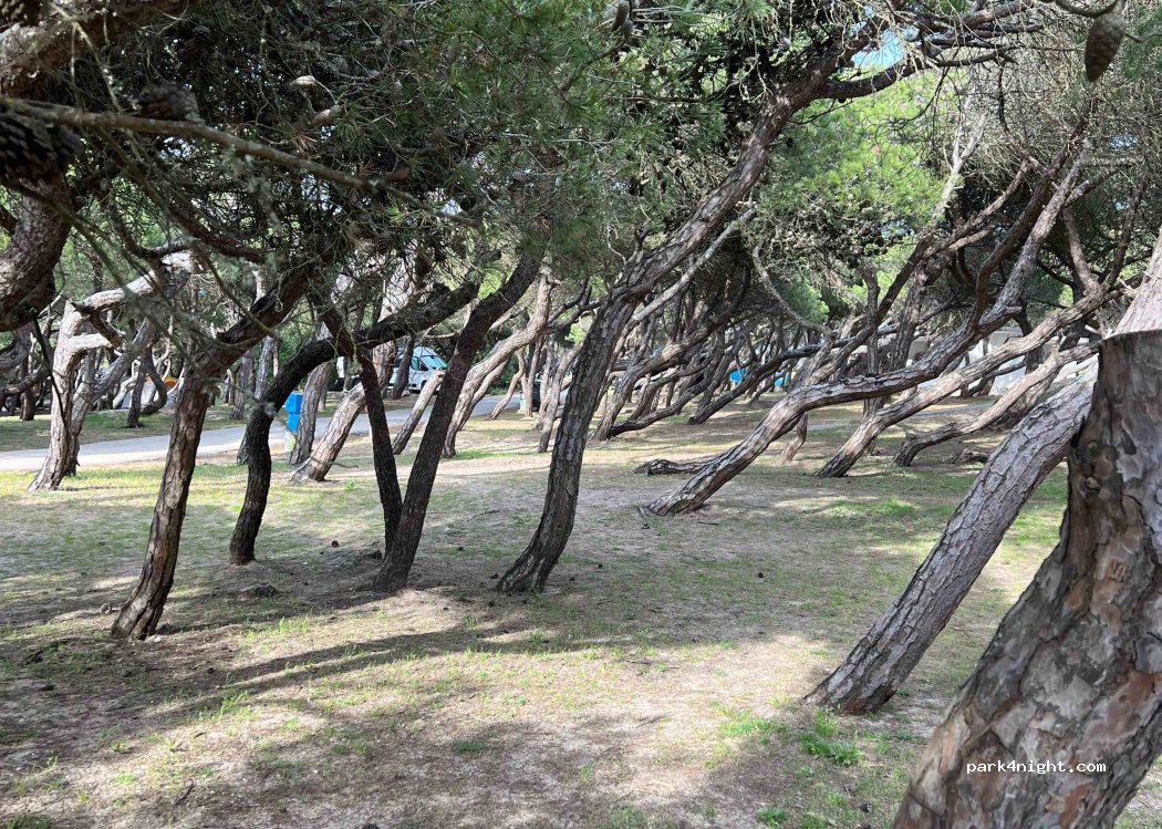 Camping Orbitur — foto 4