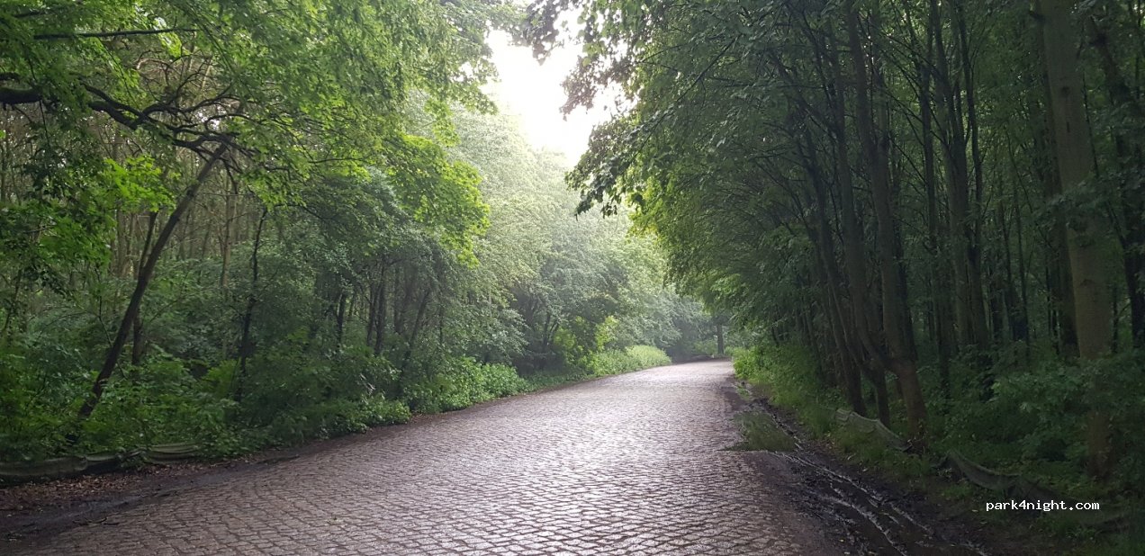 (04155) Leipzig - 54 Marienweg — foto 2