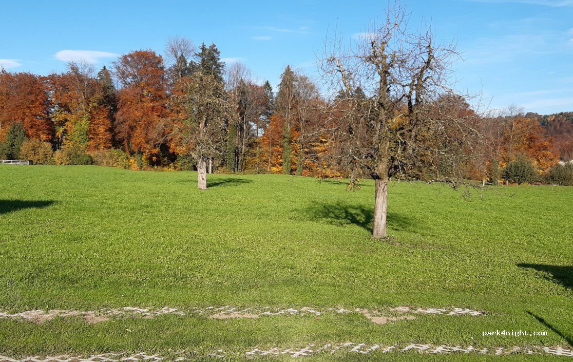 (6055) Alpnach - 19 Wichelseestrasse — foto